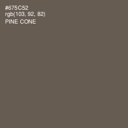 #675C52 - Pine Cone Color Image